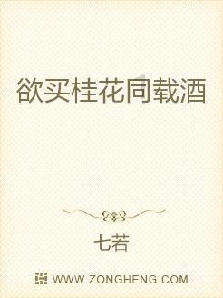 武斗纹章2初篇